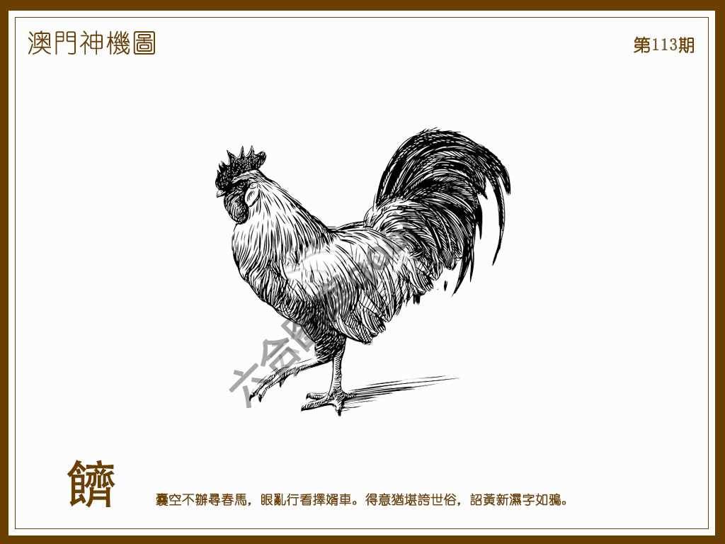 澳门神机图