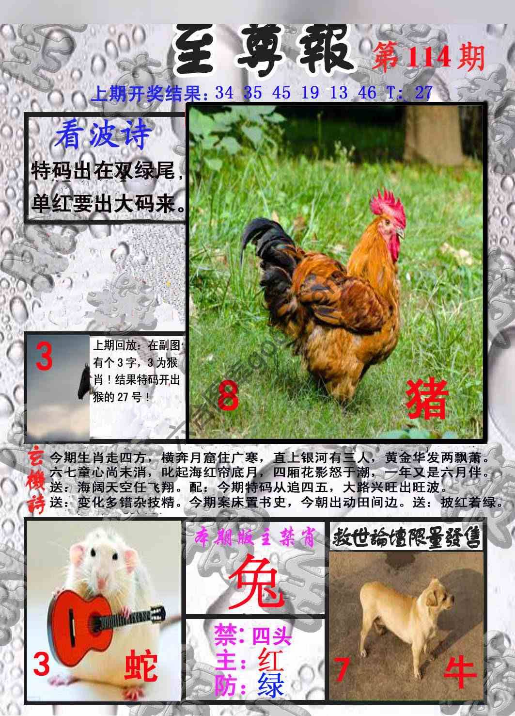 至尊报