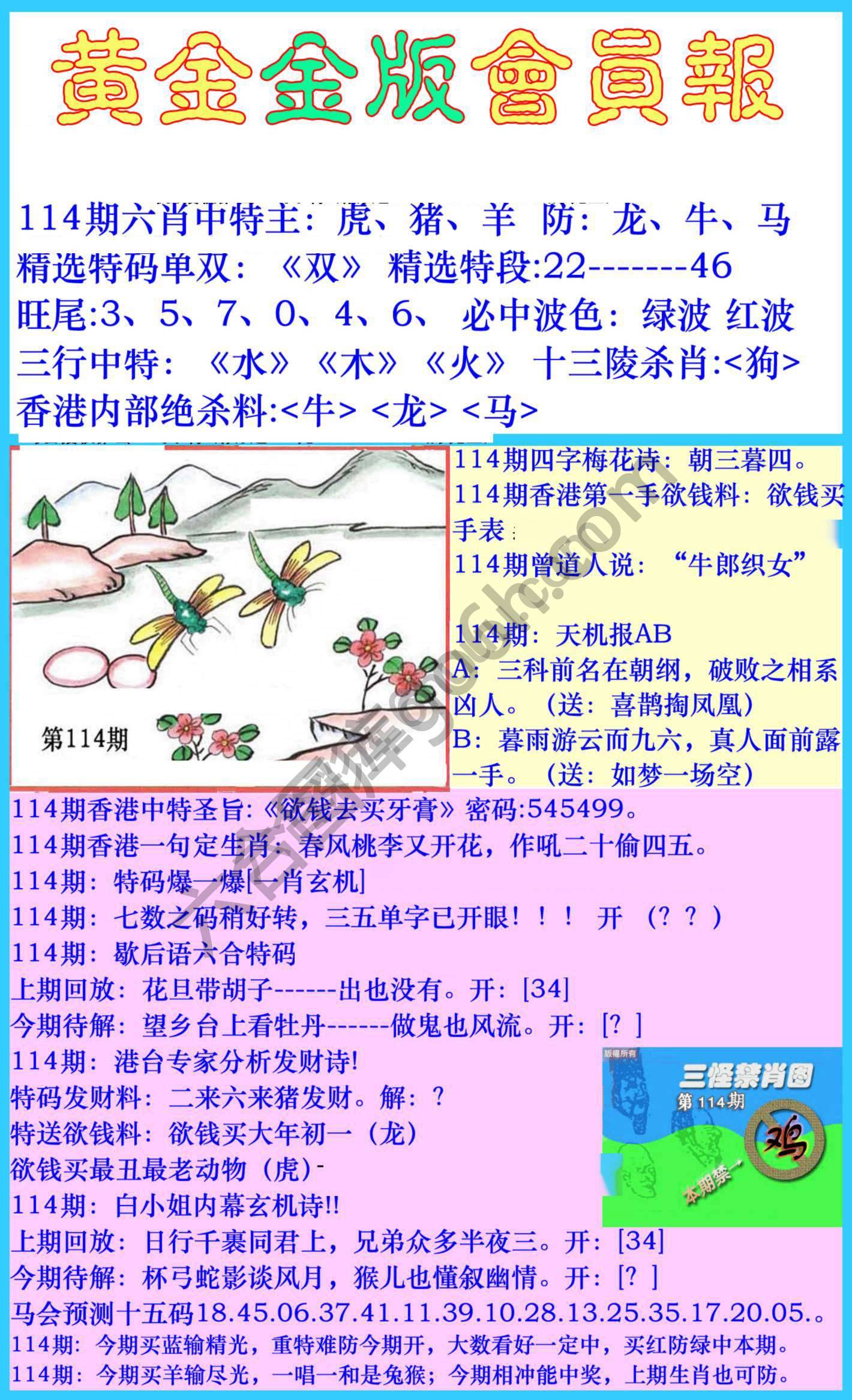 黄金金版会员报
