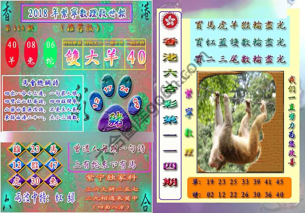 数理救世报