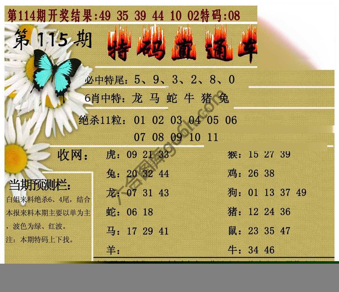 特码直通车