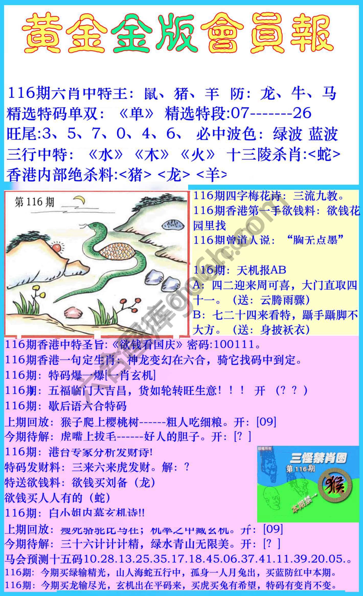 黄金金版会员报