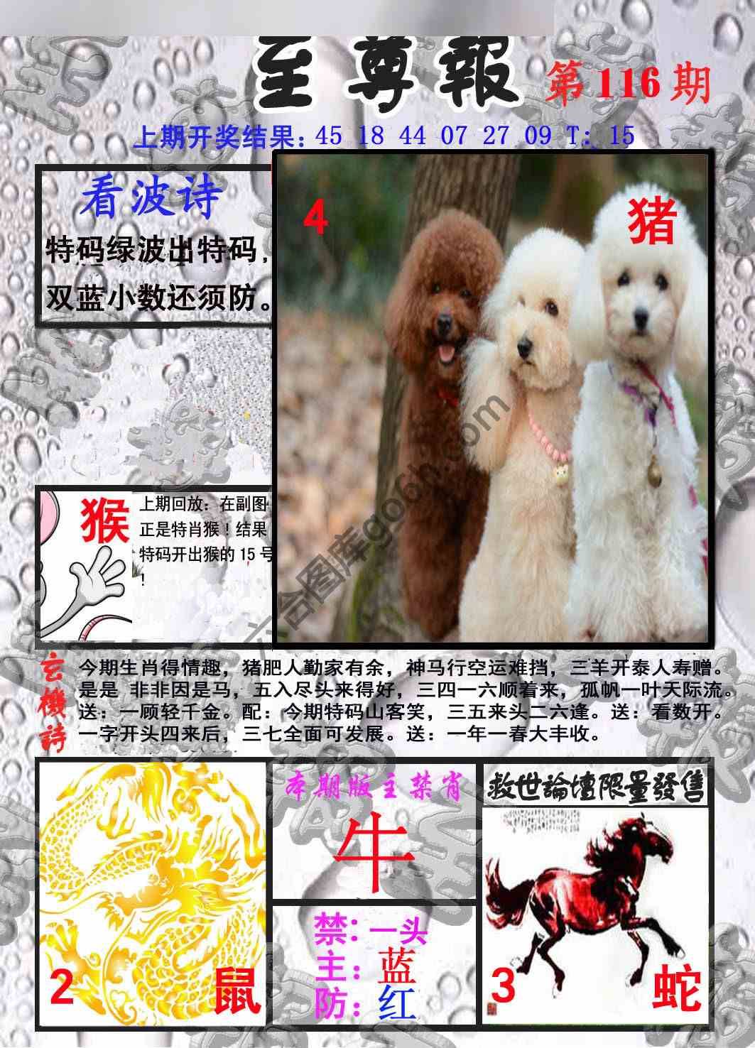 至尊报