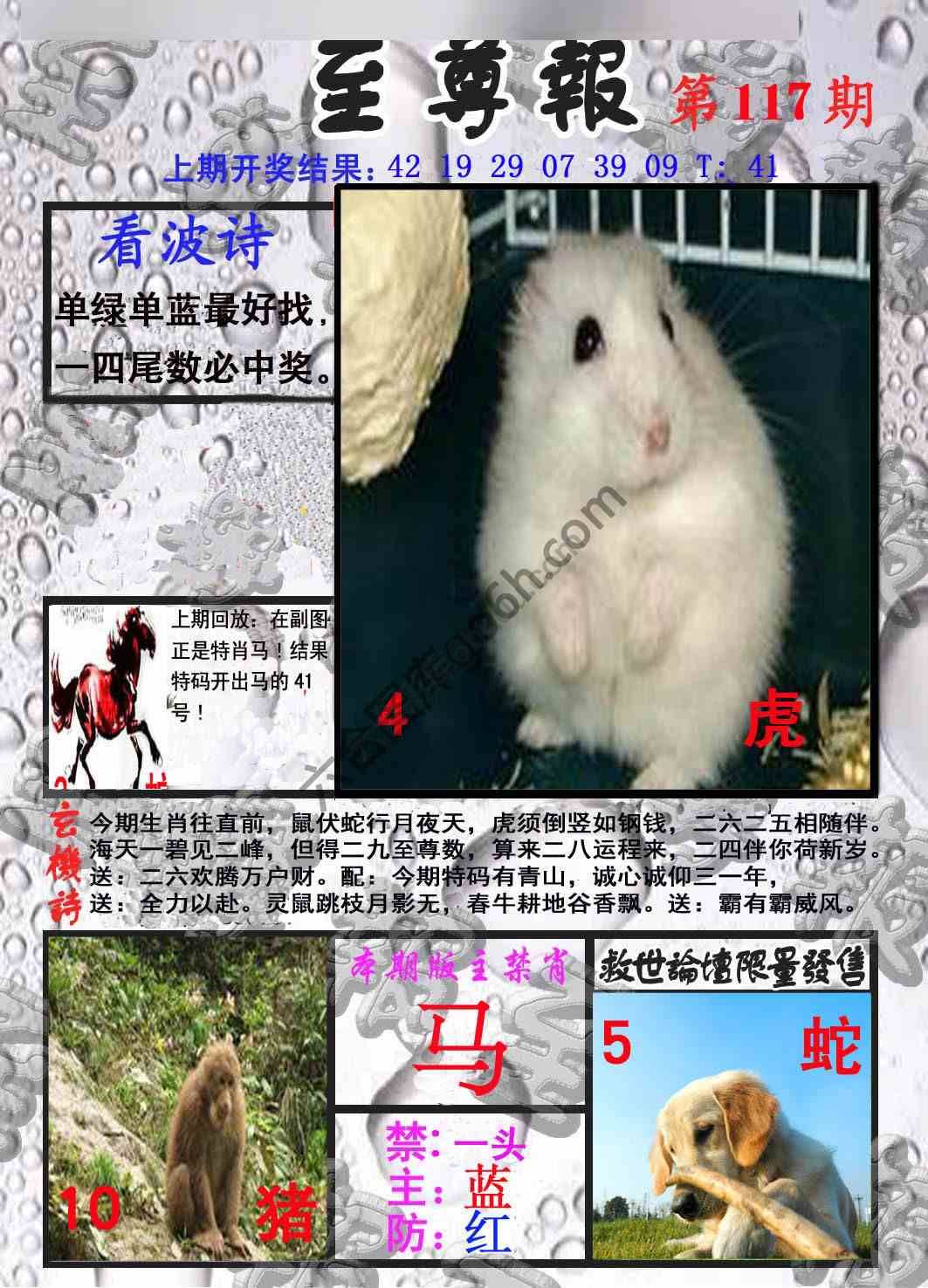 至尊报