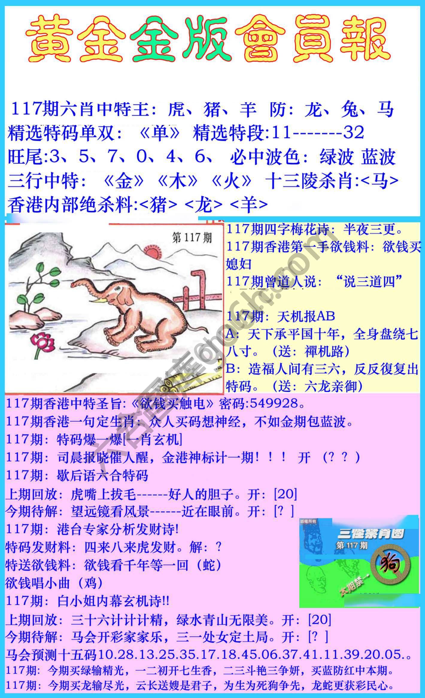 黄金金版会员报
