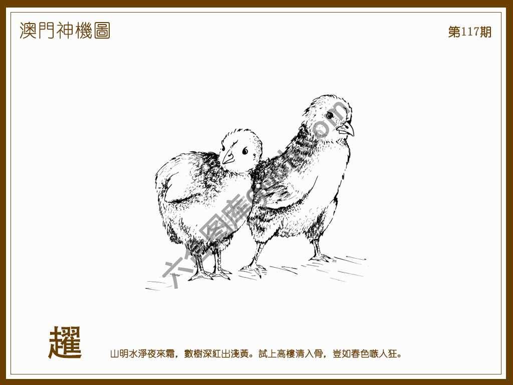 澳门神机图