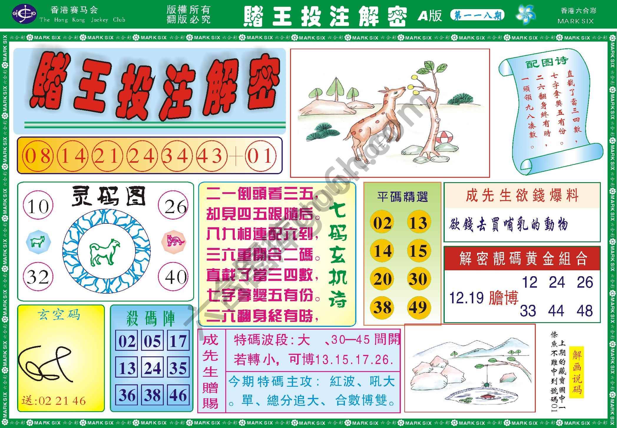 赌王投注解密