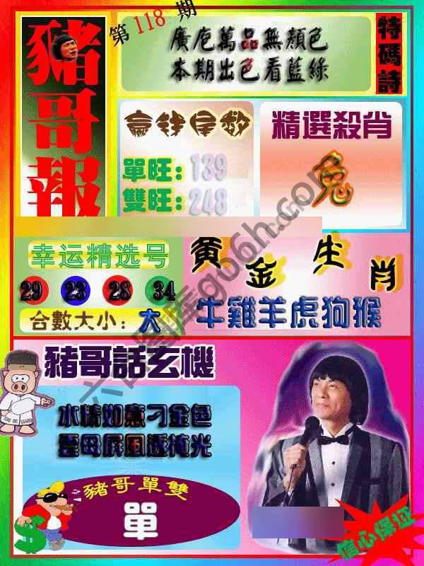 猪哥报