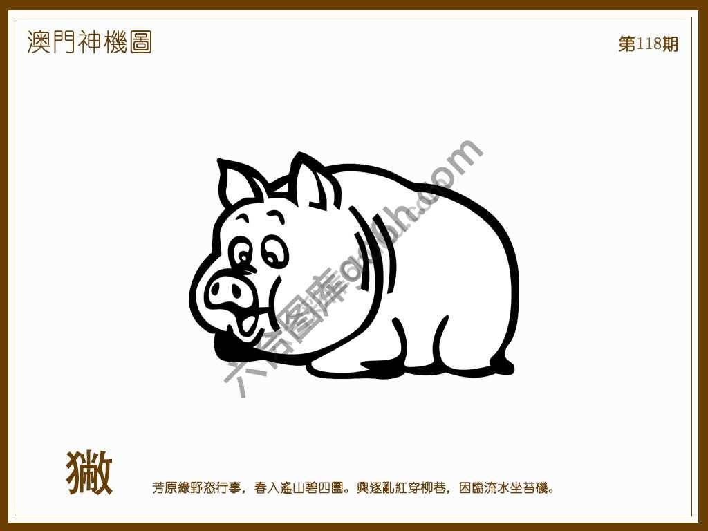 澳门神机图