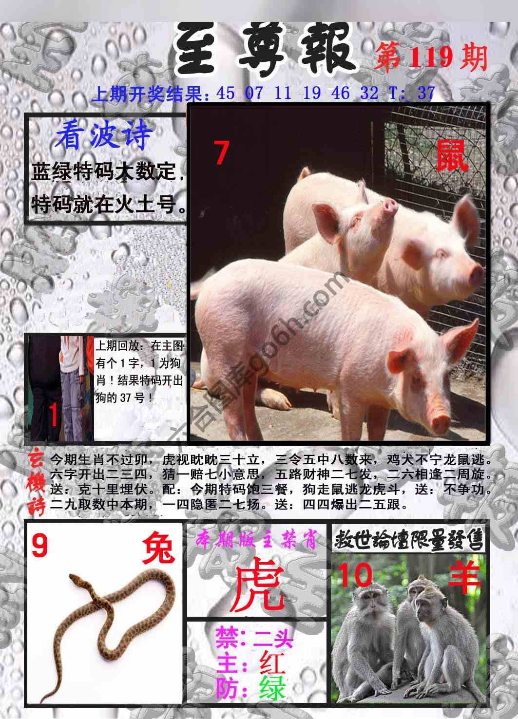 至尊报