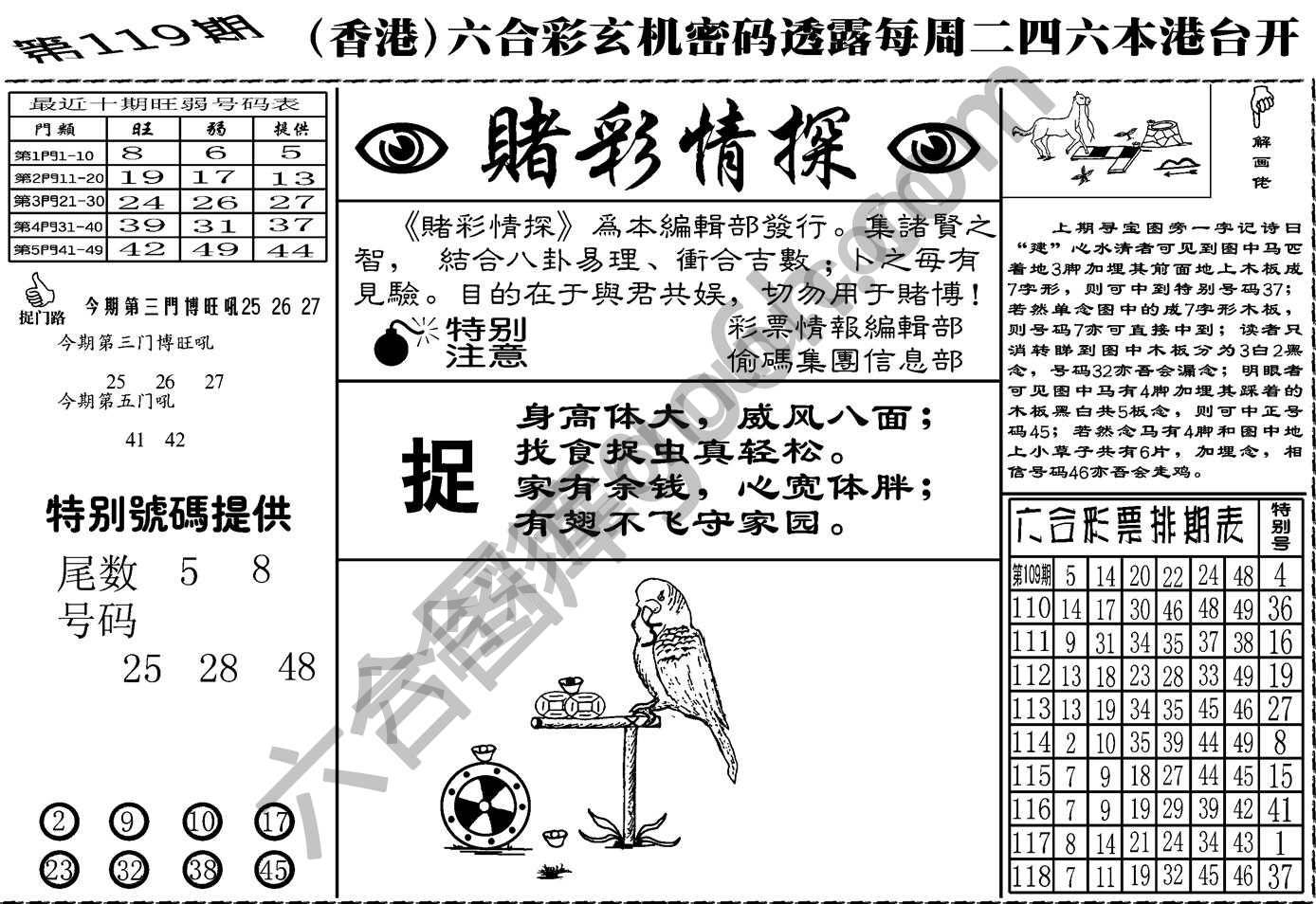 赌彩情探