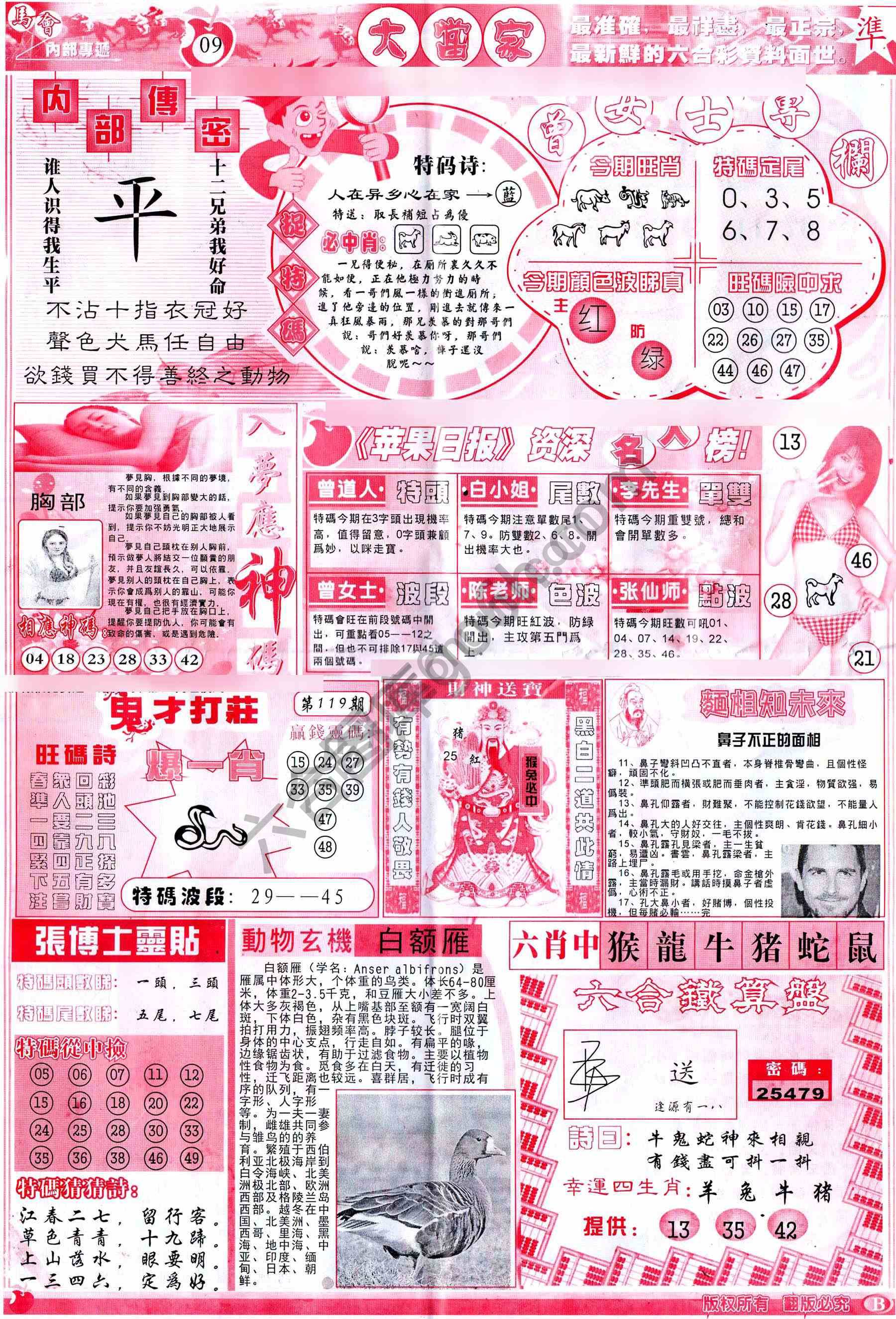 大当家
