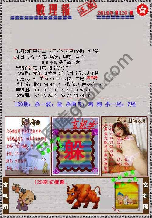 数理报