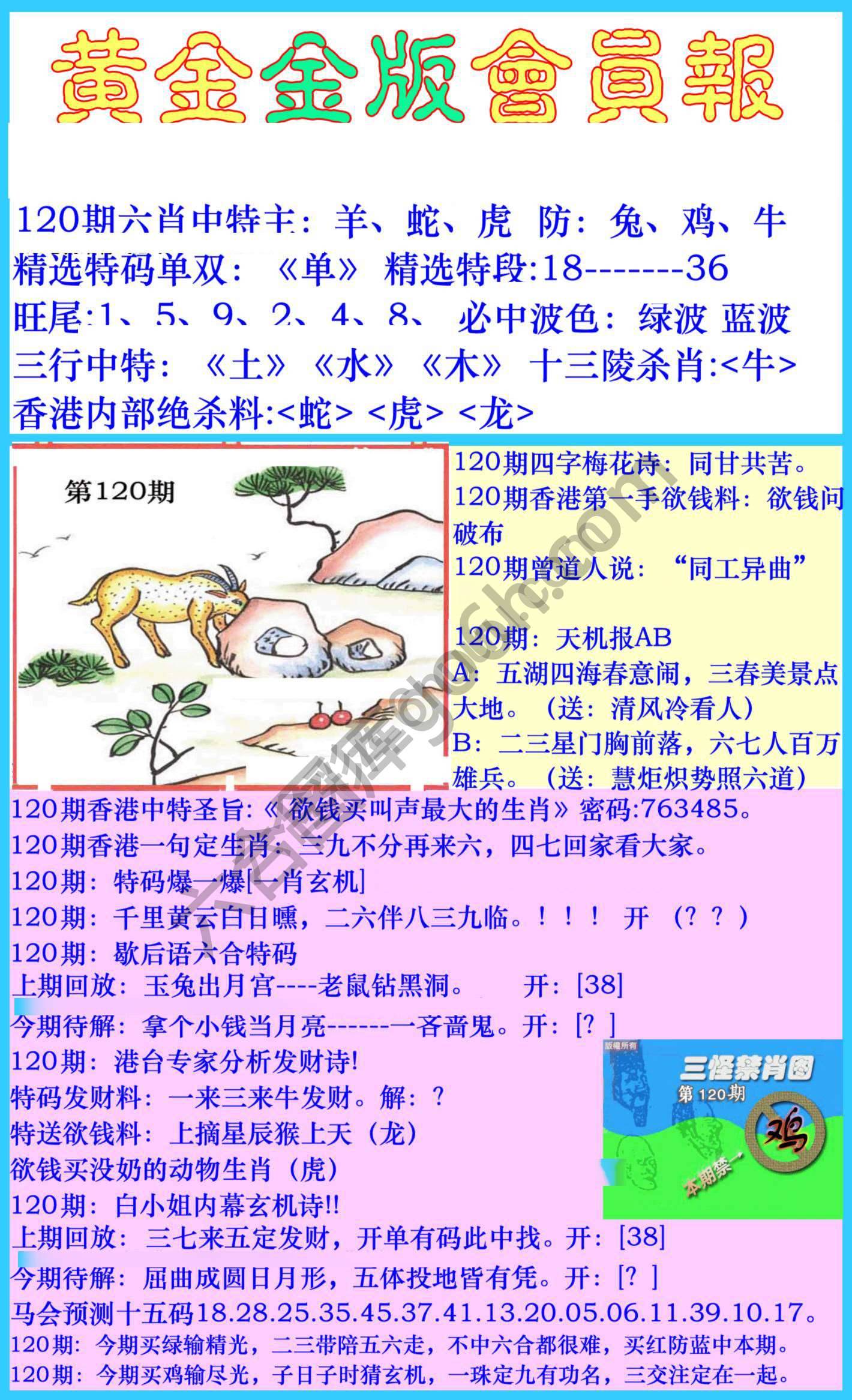 黄金金版会员报