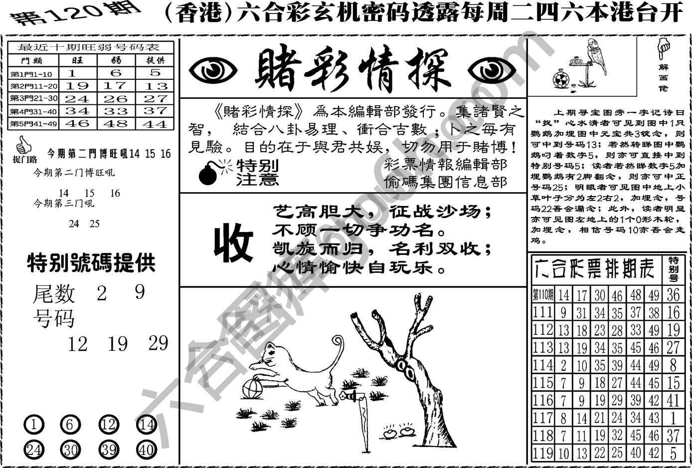 赌彩情探