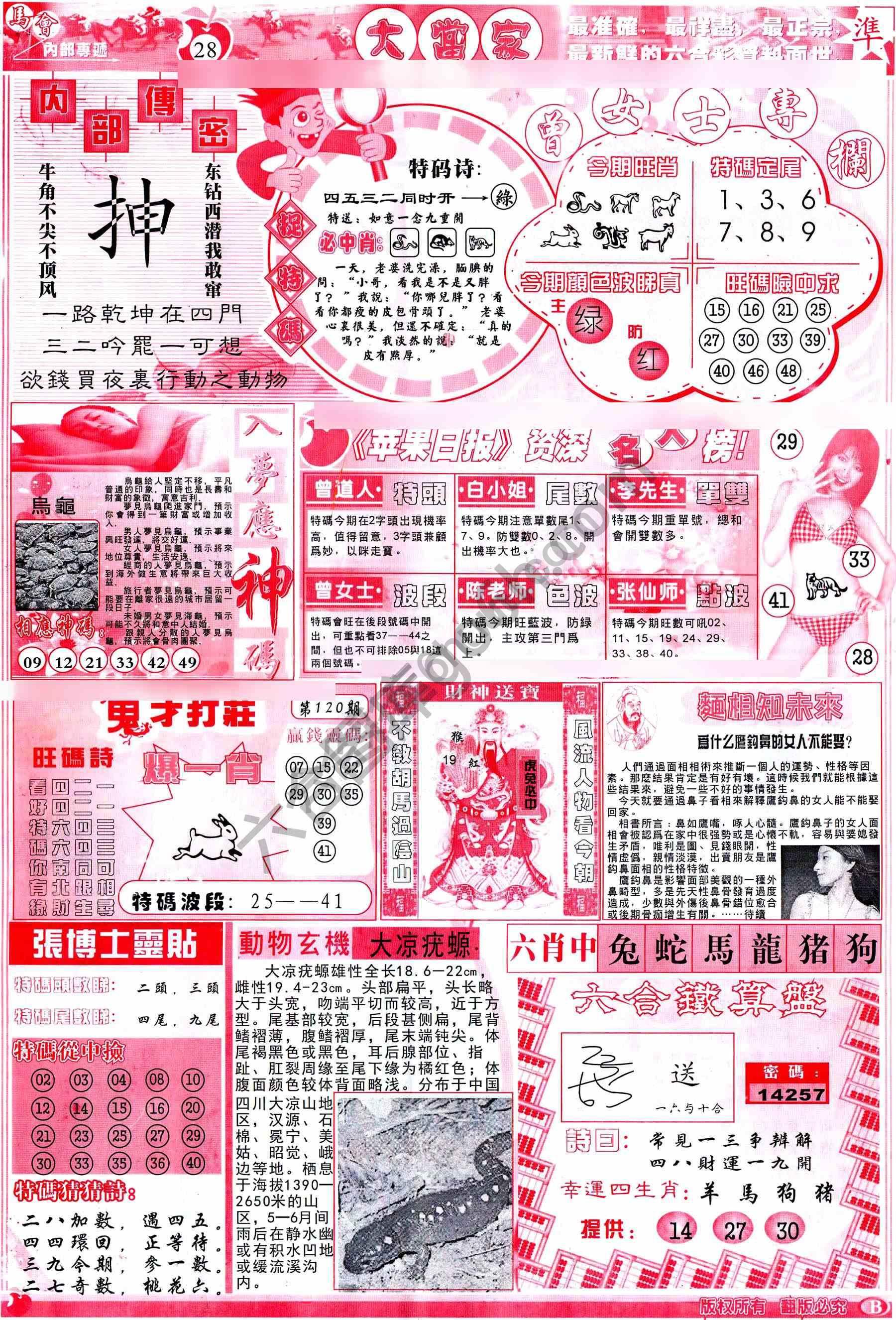 大当家