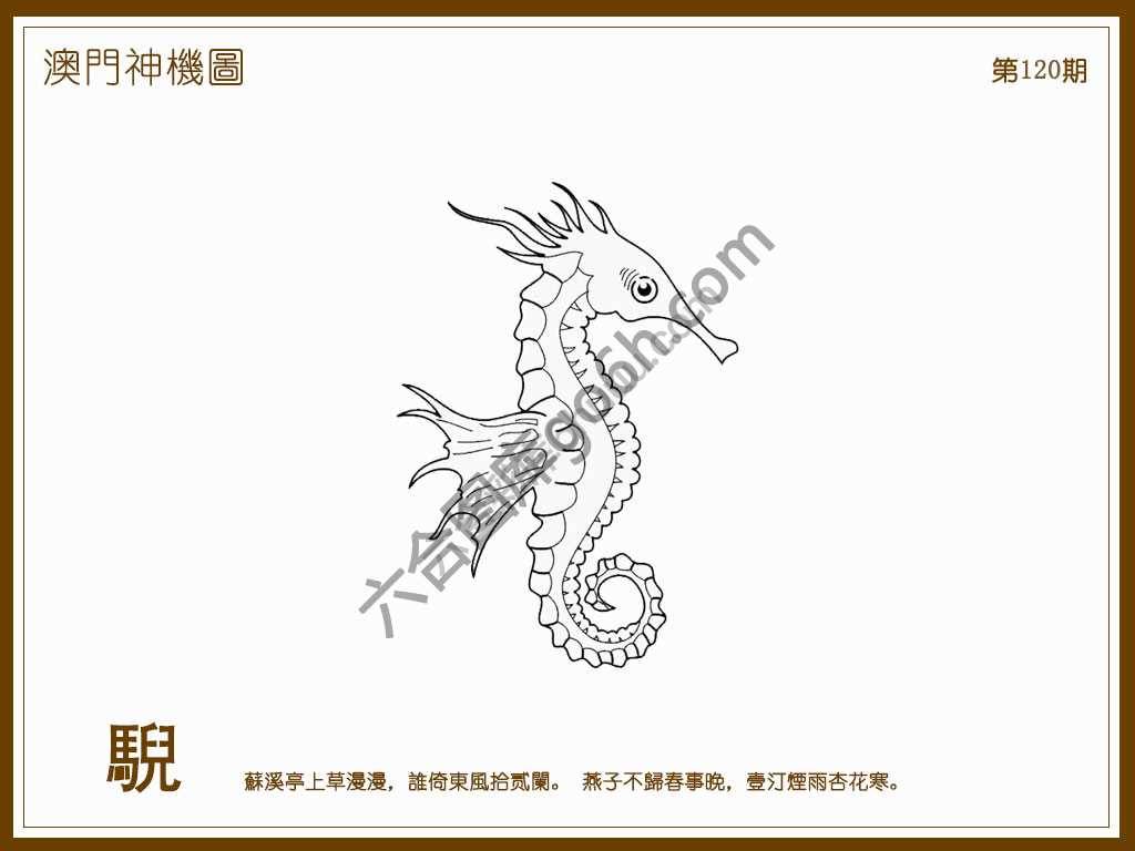 澳门神机图