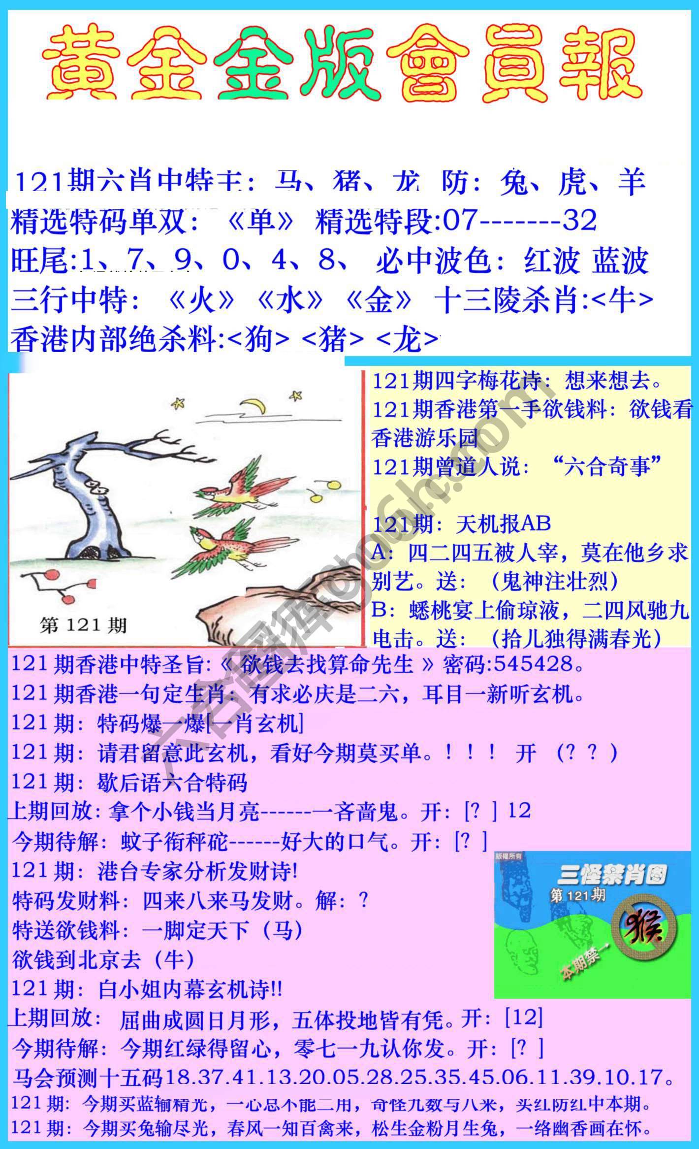 黄金金版会员报
