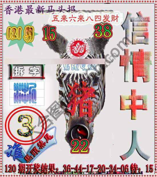 香港马头报