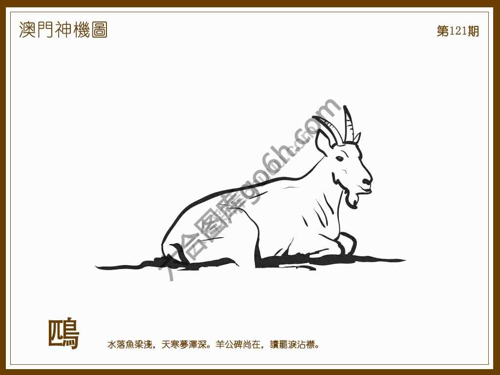 澳门神机图