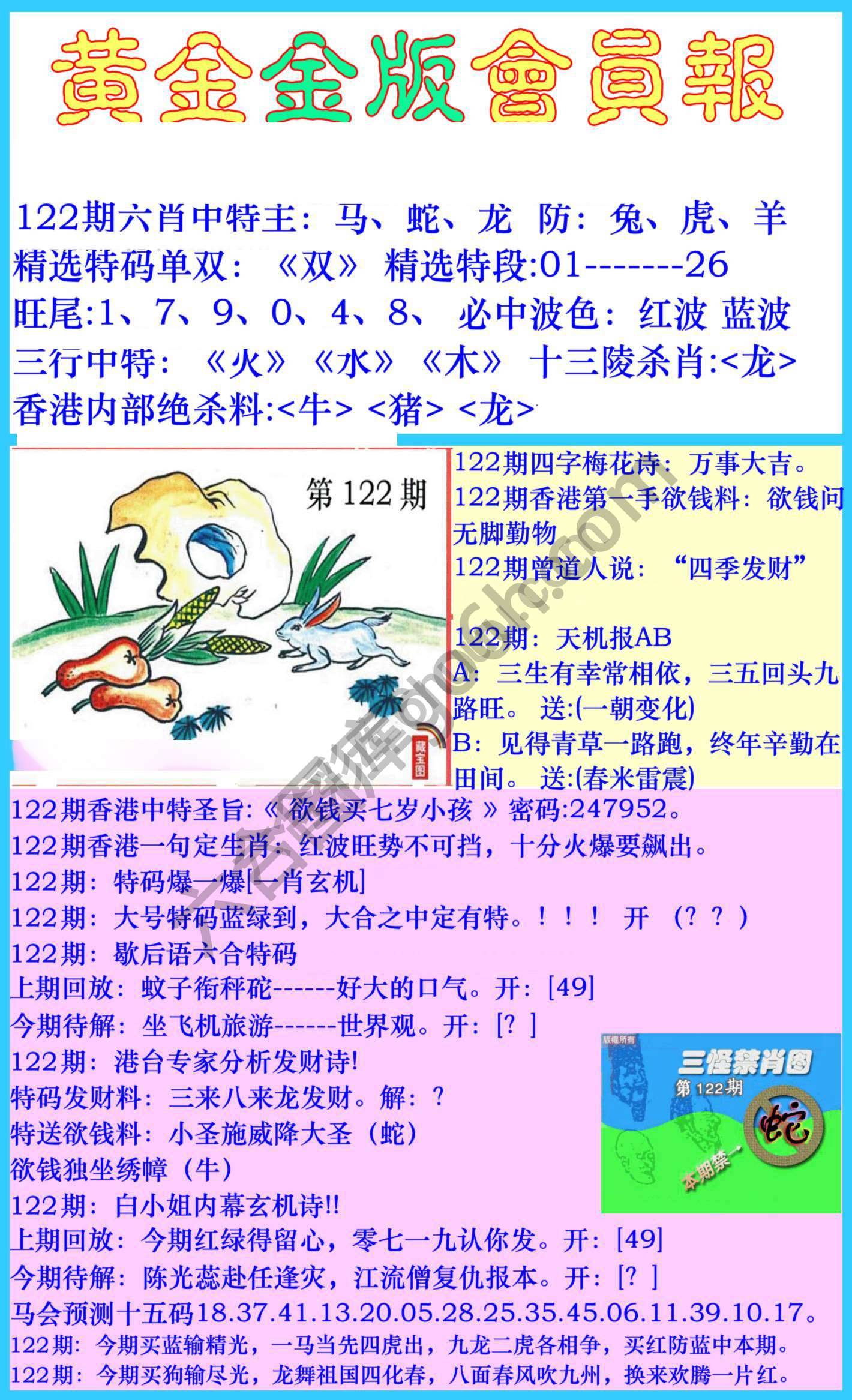 黄金金版会员报