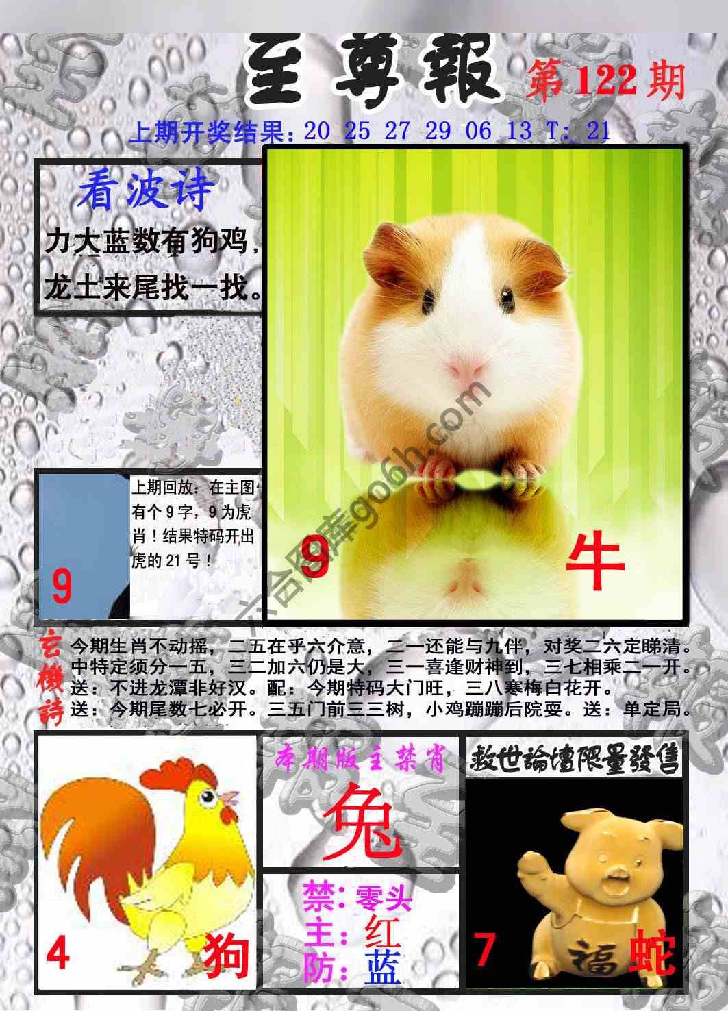 至尊报