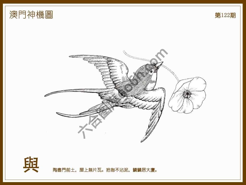 澳门神机图