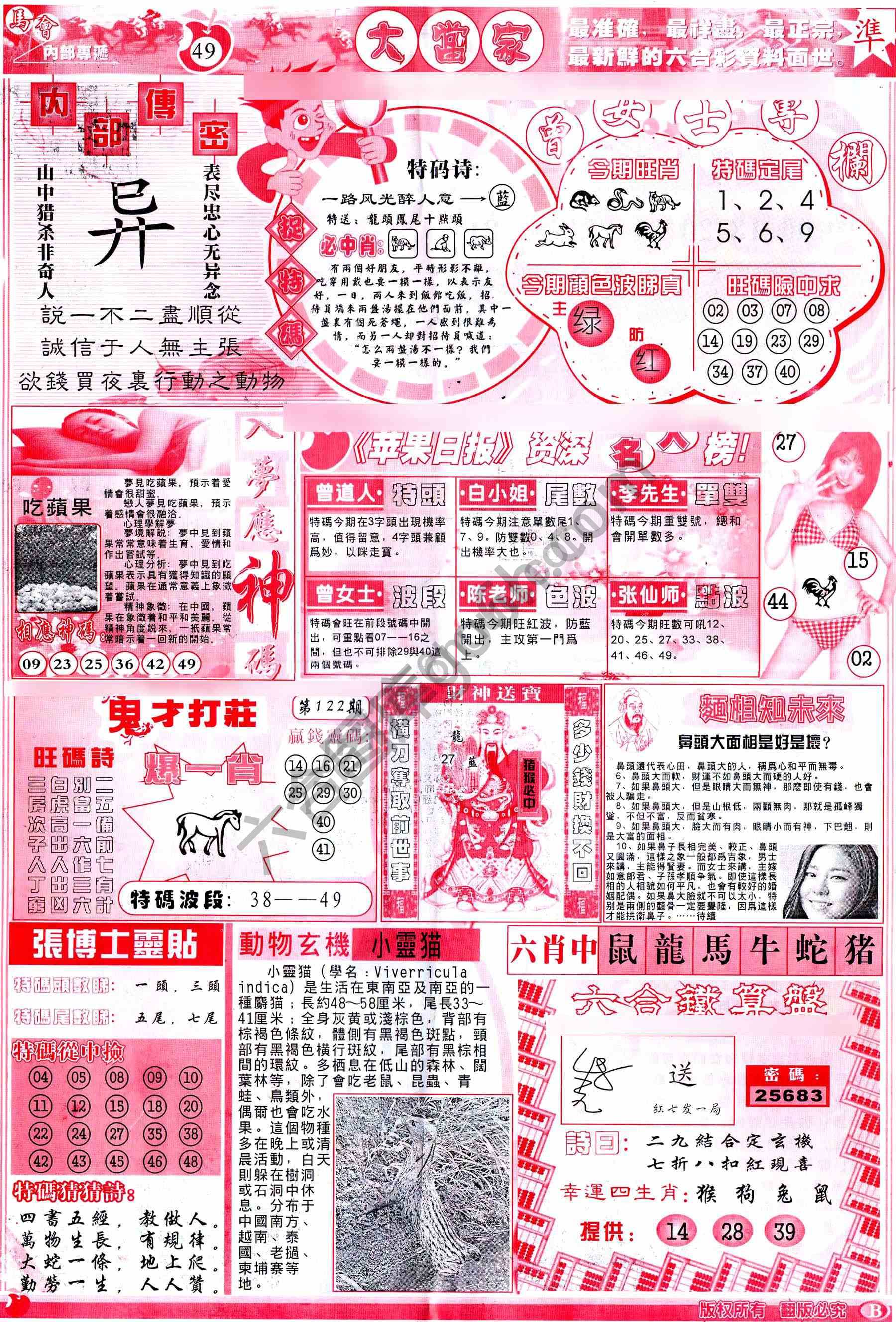 大当家