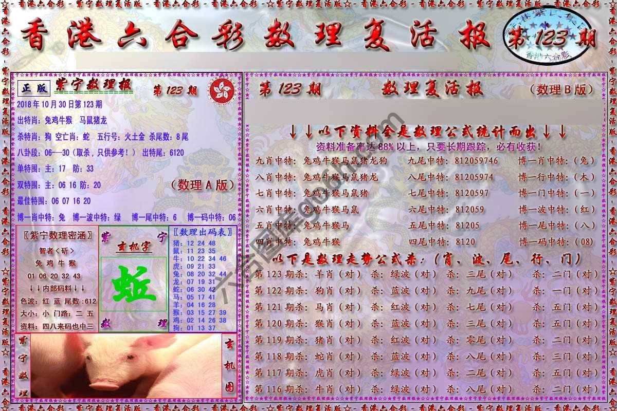 数理复活报