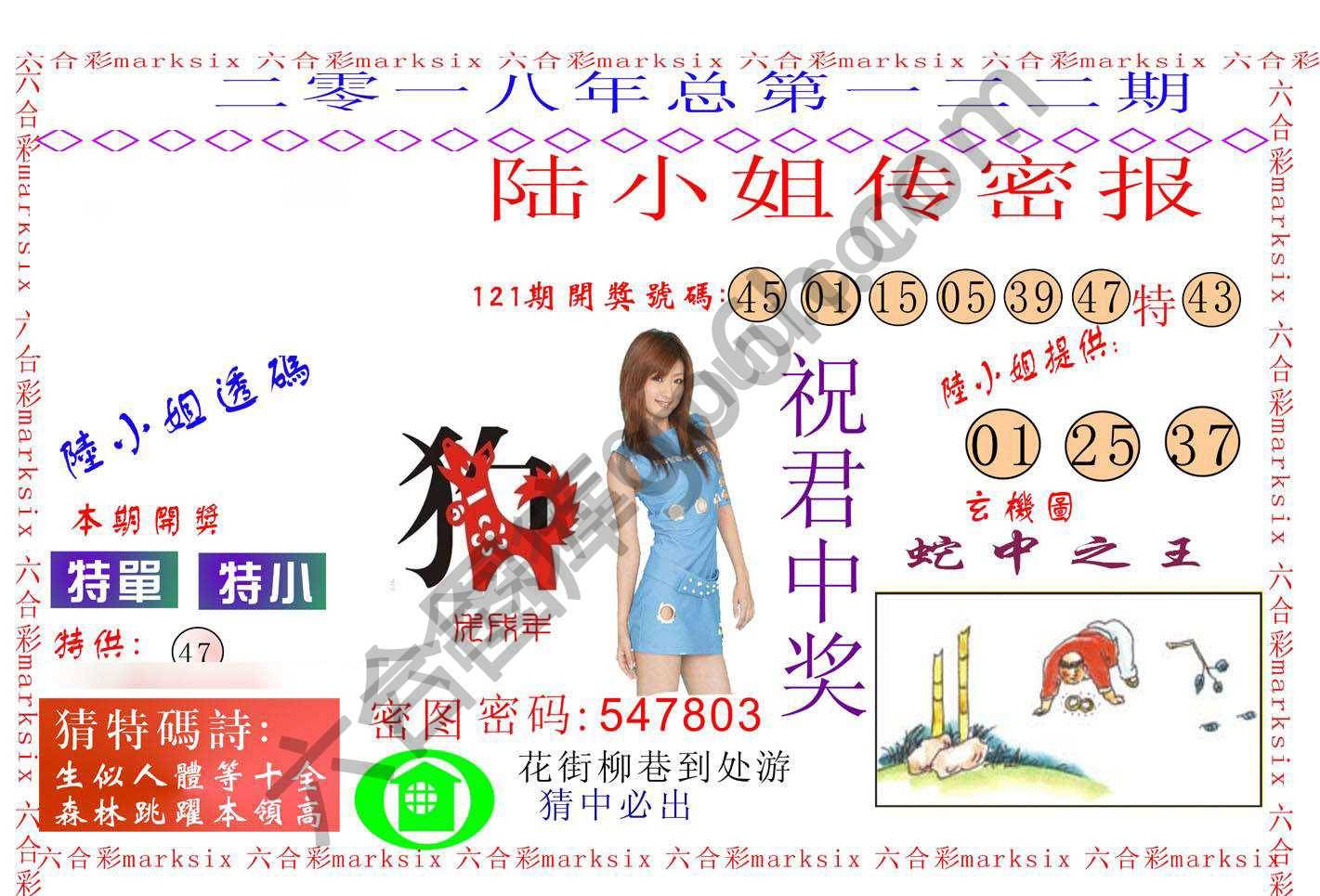 陆小姐传密