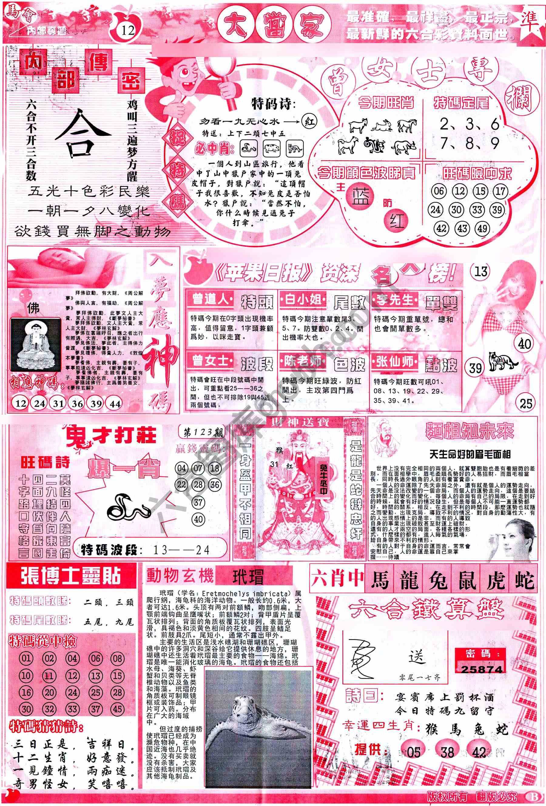 大当家