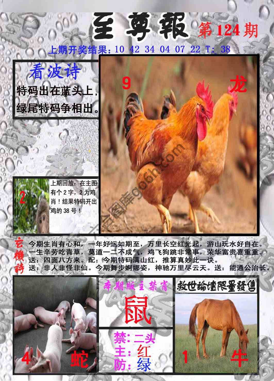 至尊报
