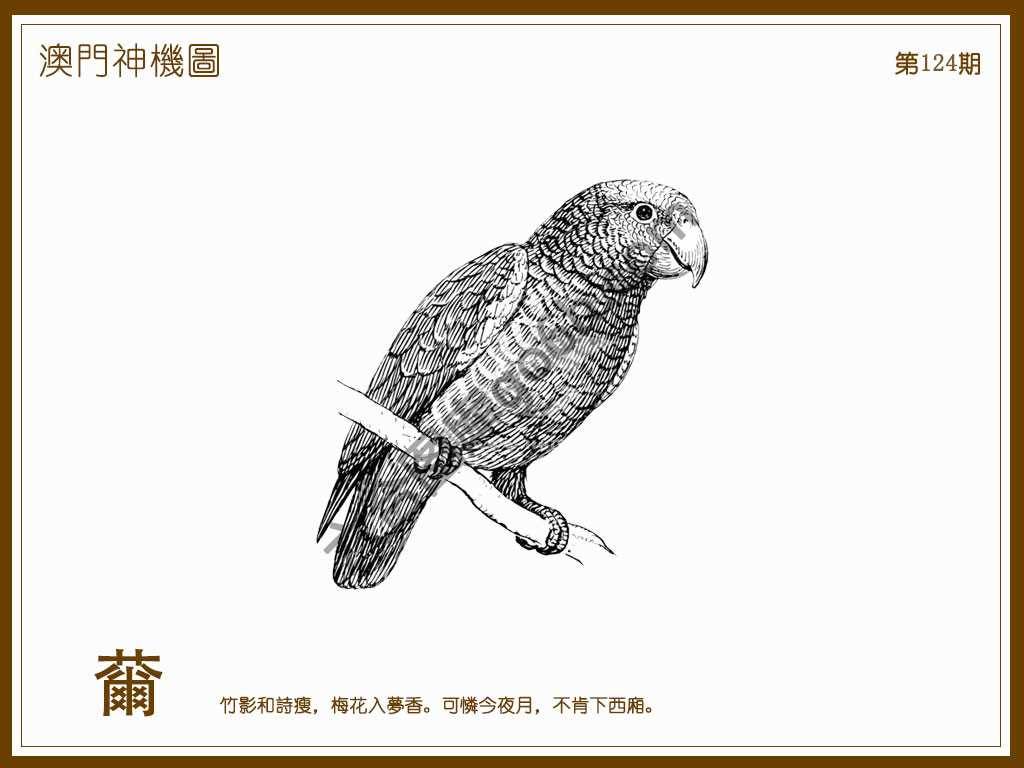 澳门神机图