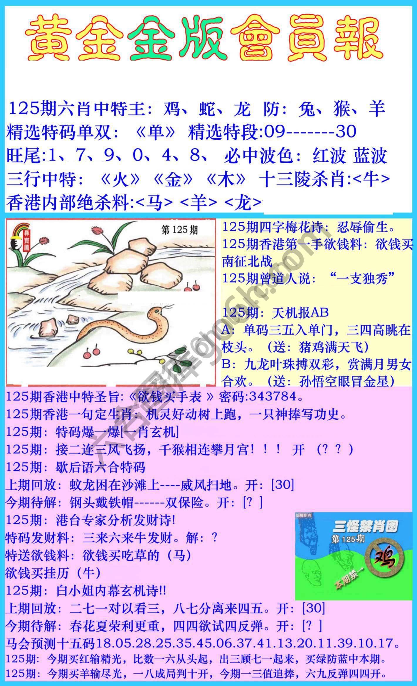 黄金金版会员报
