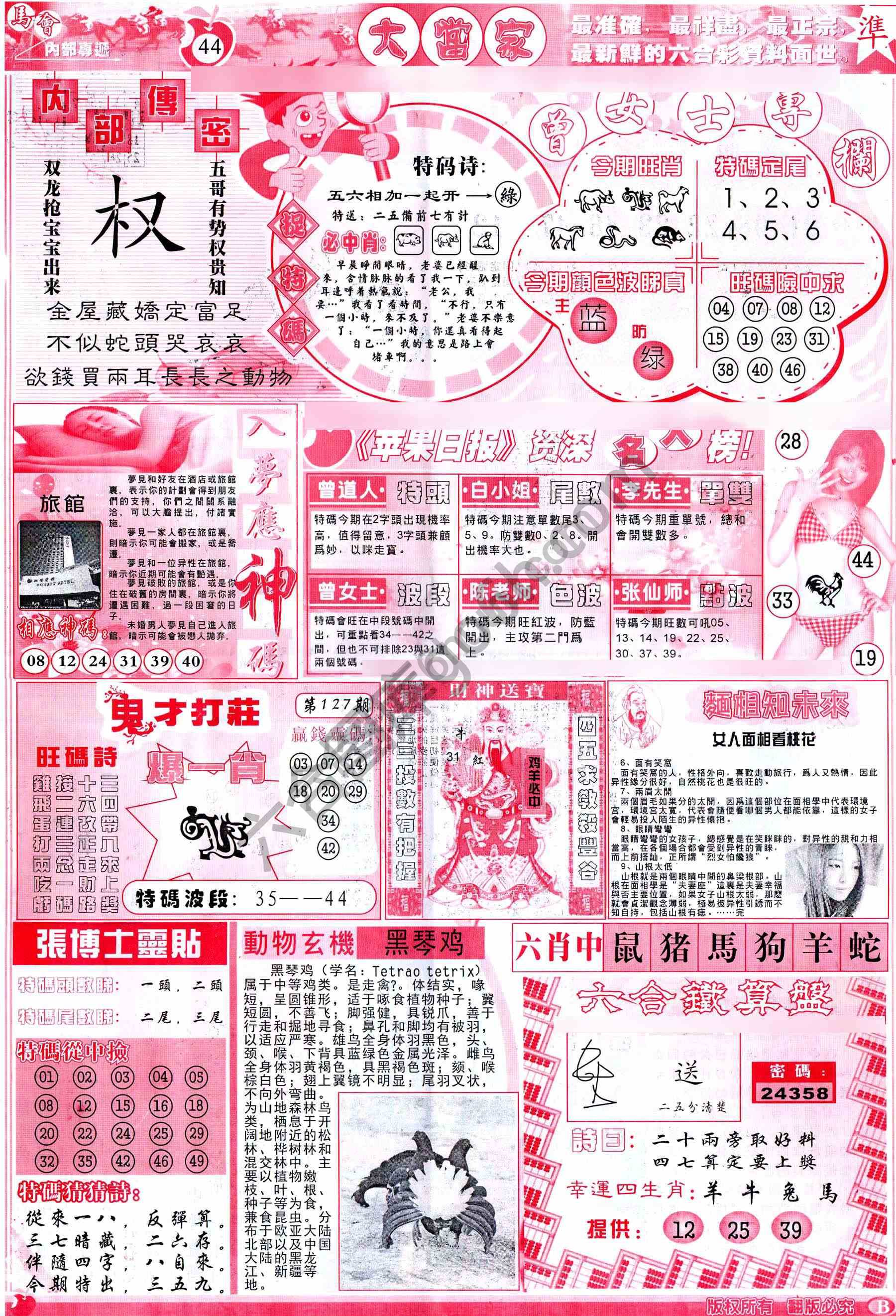 大当家