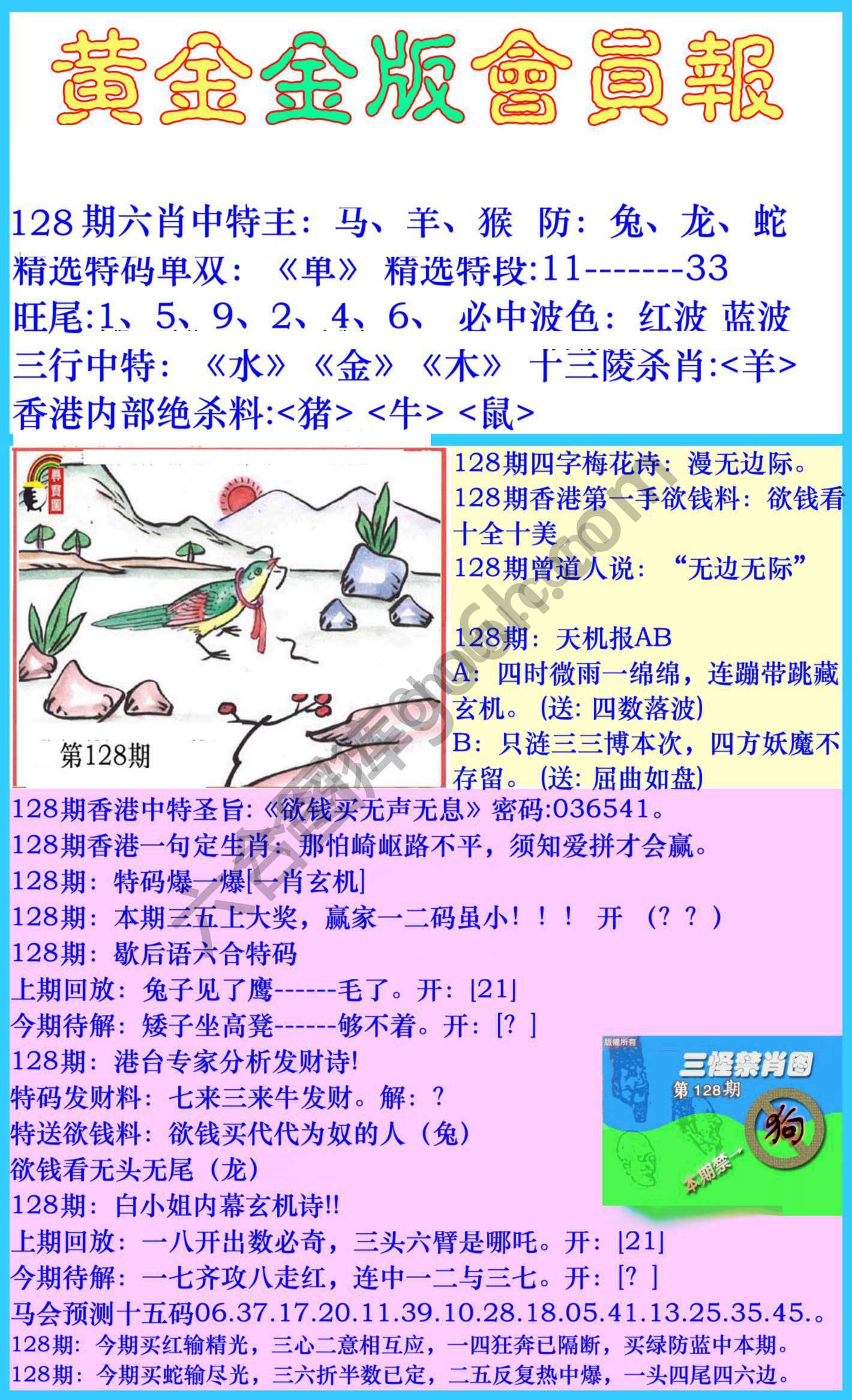 黄金金版会员报