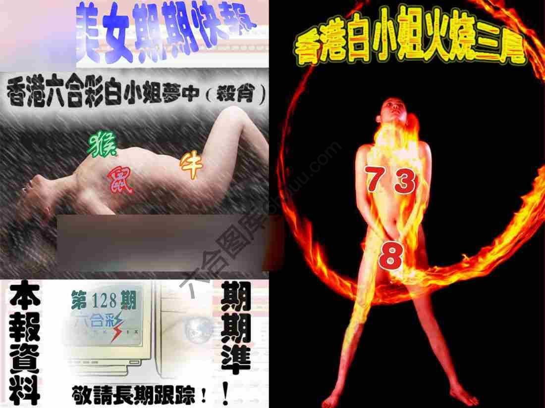 环球美女特码报