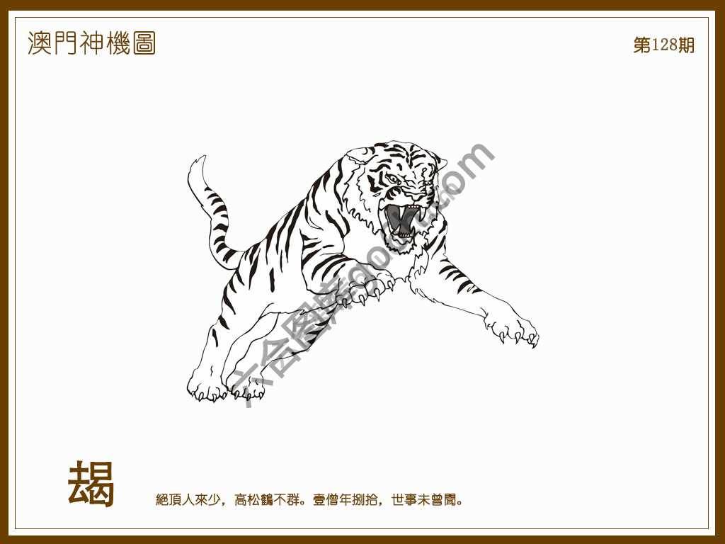 澳门神机图