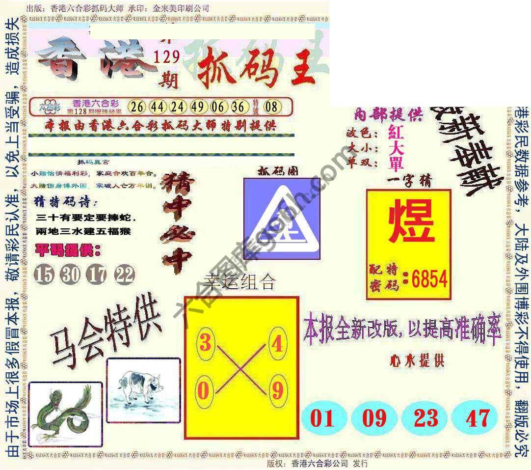 新抓码王