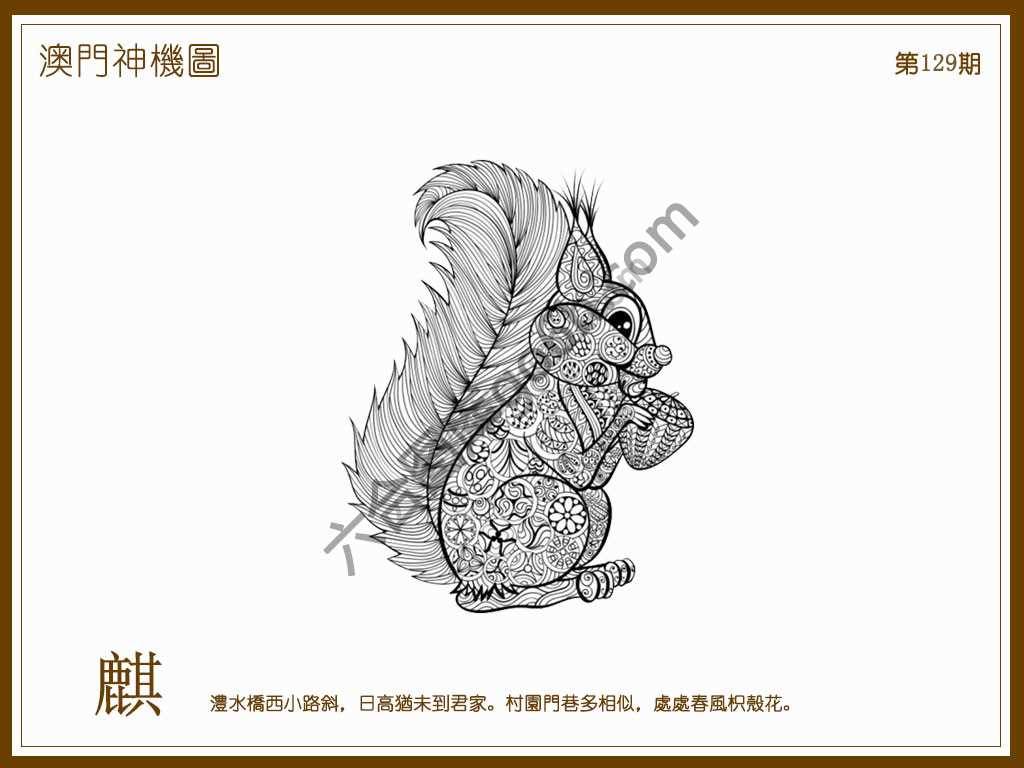 澳门神机图