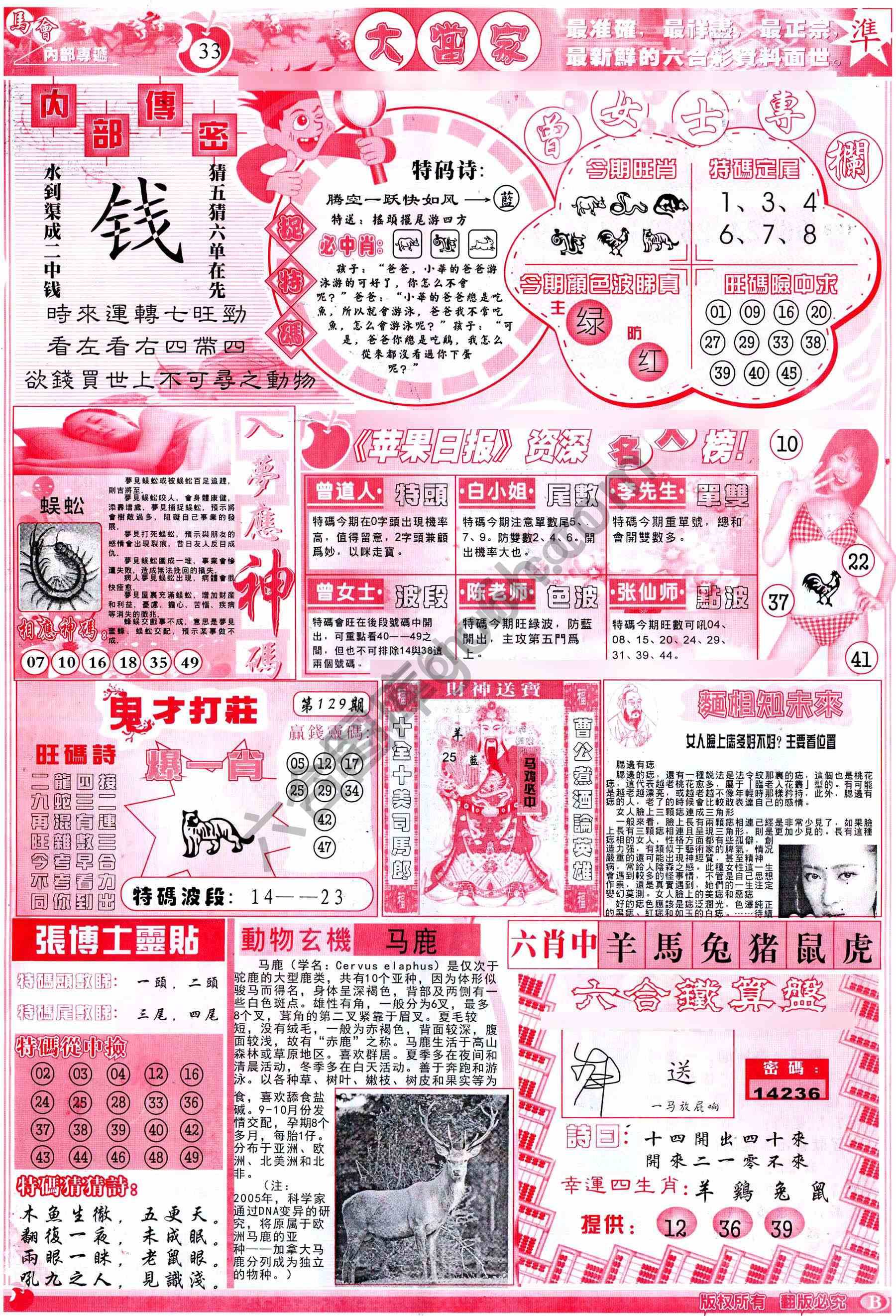 大当家