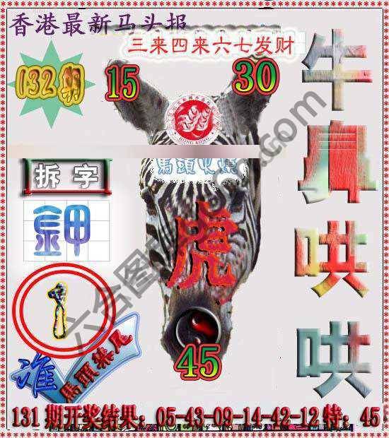 香港马头报