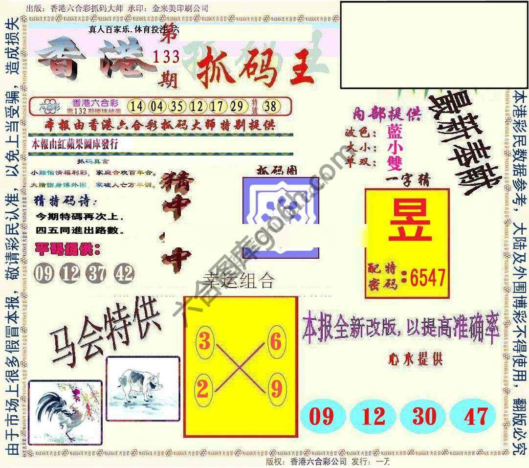 新抓码王
