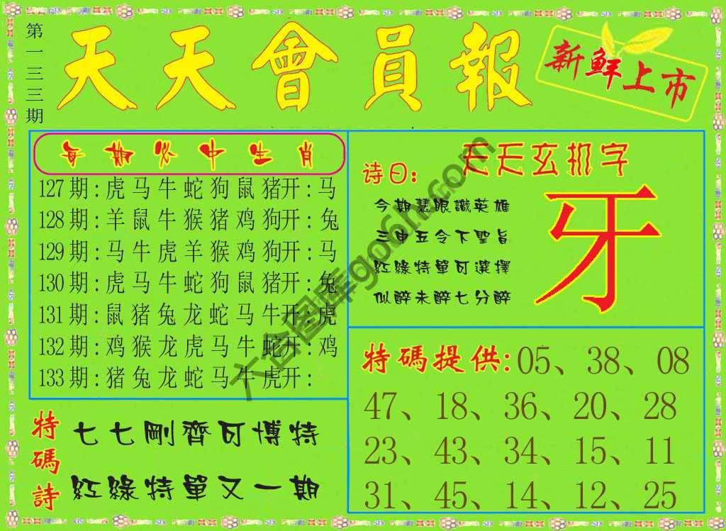 天天会员报