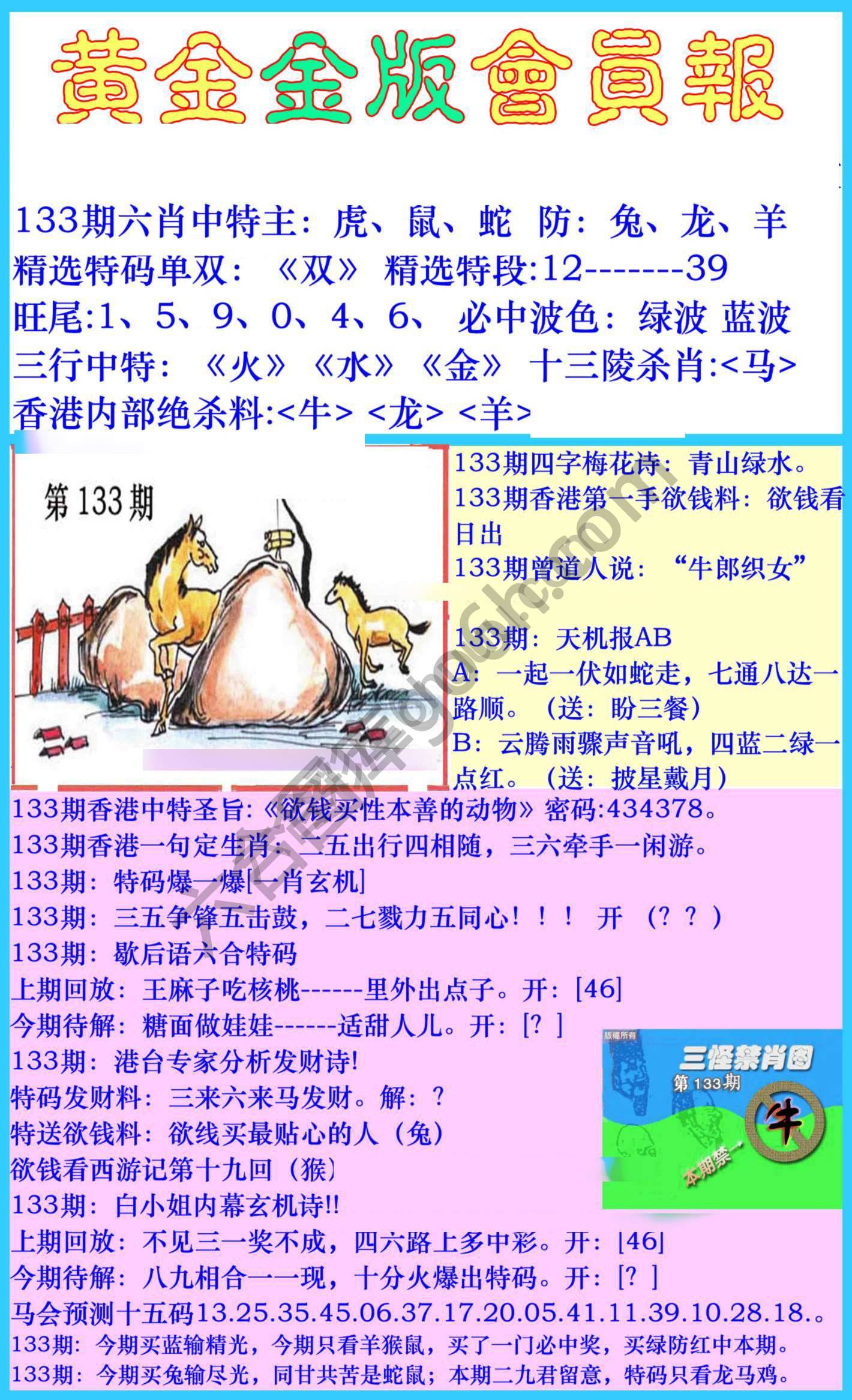 黄金金版会员报