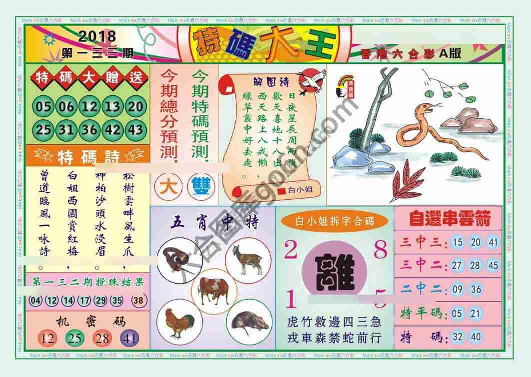 特码大王