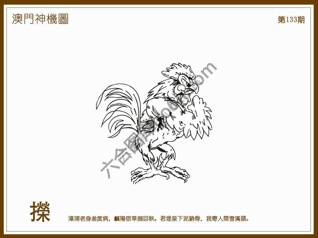 澳门神机图