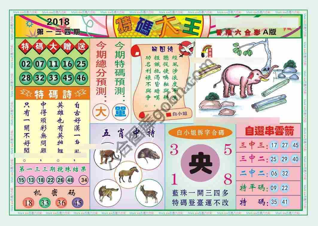 特码大王