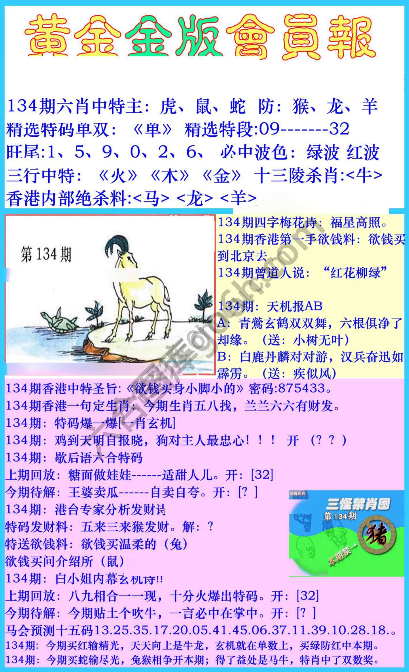 黄金金版会员报