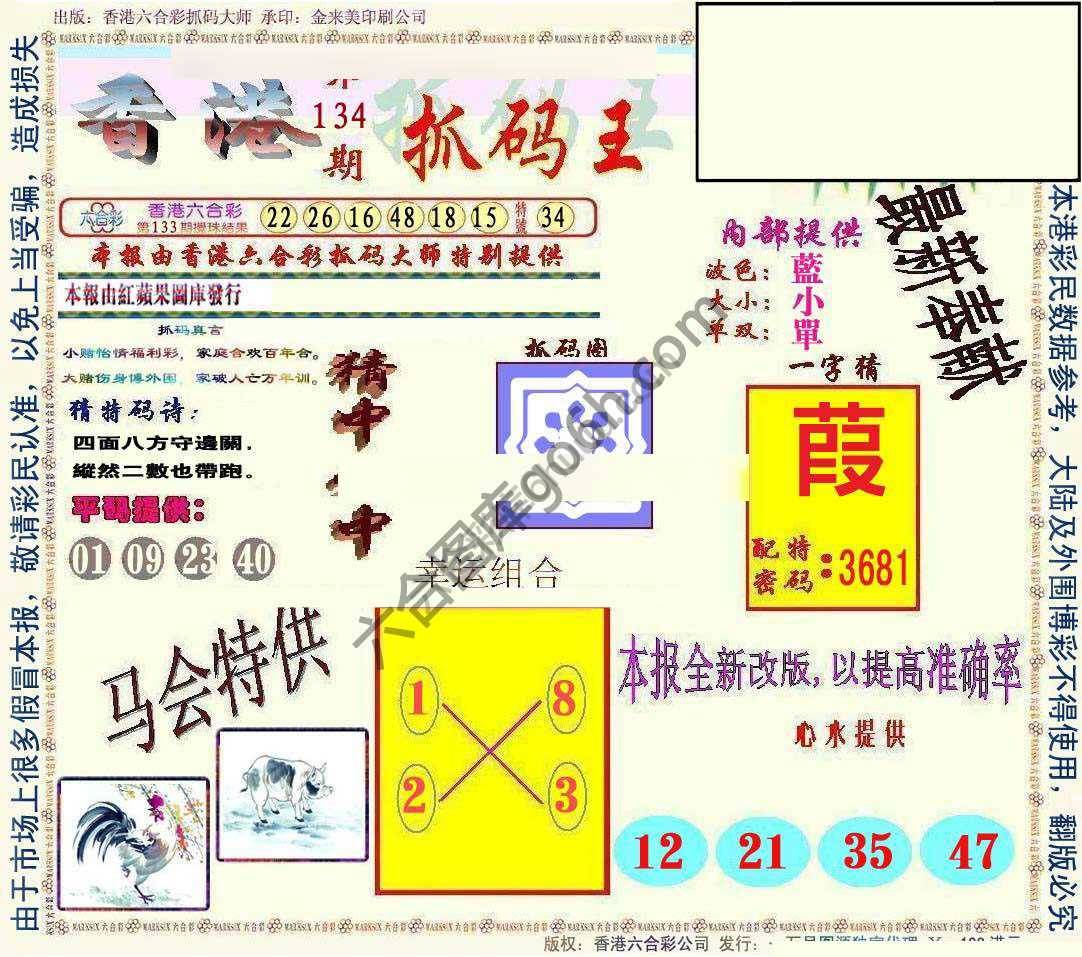 新抓码王